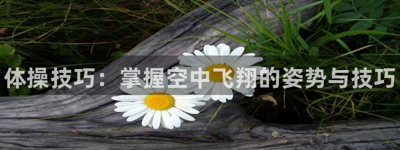 利记官网下载是干嘛的公司：体操技巧：掌握空中飞翔的姿势与技巧