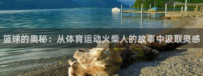 利记官网下载招商电话号码查询：篮球的奥秘：从体育运动