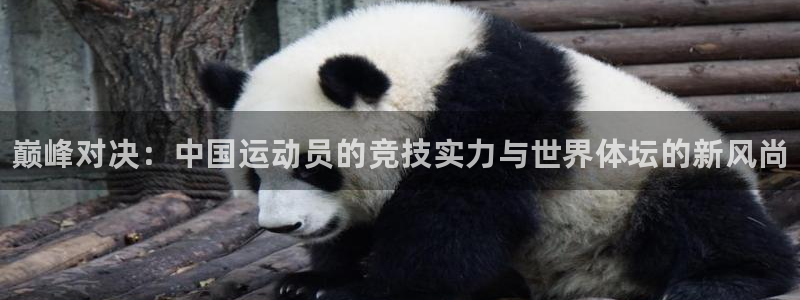 利记官网下载招商：巅峰对决：中国运动员的竞技实力与世界体坛的