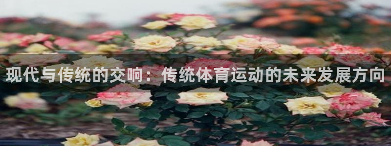 利记官网下载开户：现代与传统的交响：传统体育运动的未来发展方