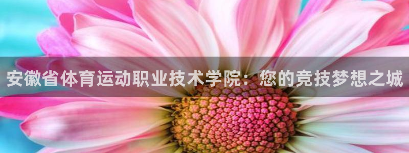 利记官网下载招商电话号码查询