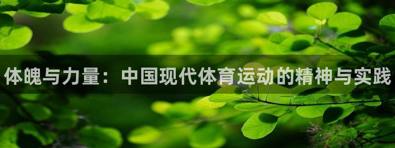 利记官网下载娱乐