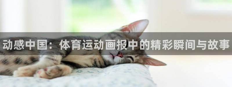 利记官网下载官方客服电话：动感中国：体育运动画报中的精彩瞬间