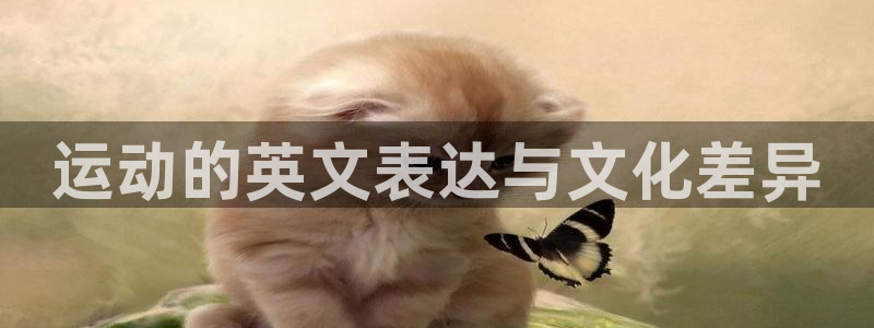 利记官网下载招商电话：运动的英文表达与文化差异