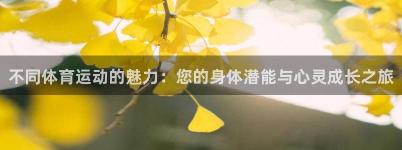 利记官方正版app娱乐首页官网下载：不同体育运动的魅