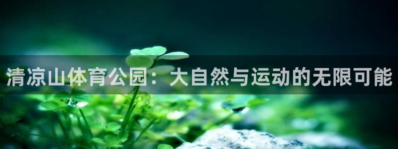 利记官网下载平台注册：清凉山体育公园：大自然与运动的无限可能