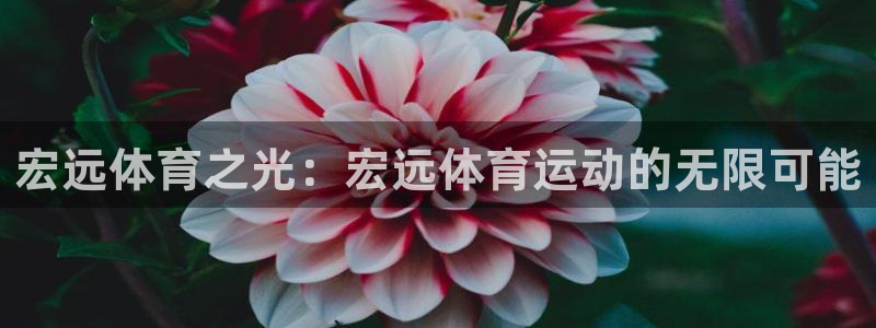 利记官方正版app娱乐平台：宏远体育之光：宏远体育运