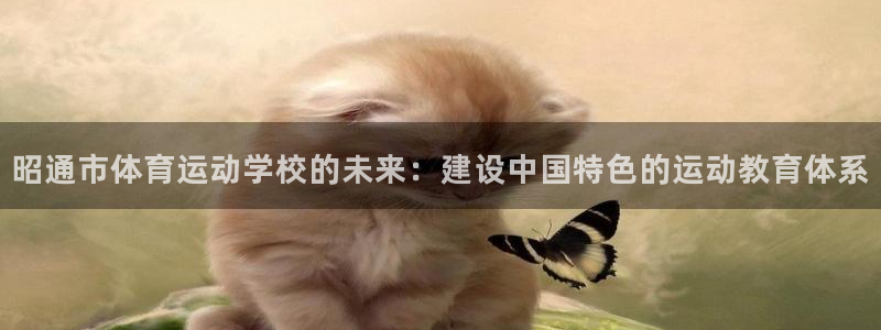 利记官网下载是干嘛的公司：昭通市体育运动学校的未来：