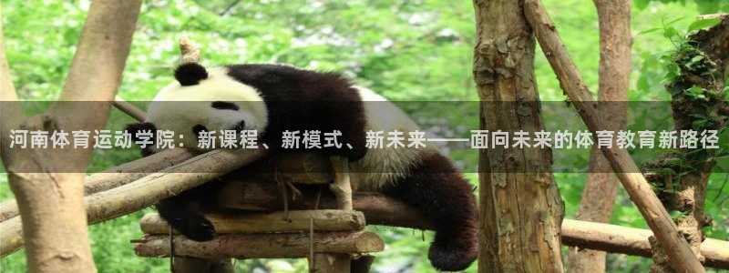 德国利记官方正版app集团：河南体育运动学院：新课程