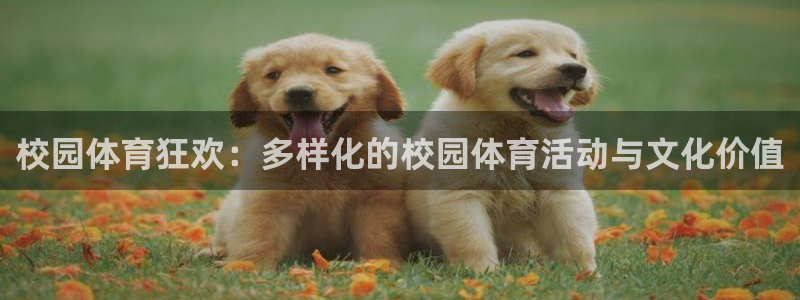 利记官网下载平台注册要钱吗是真的吗：校园体育狂欢：多