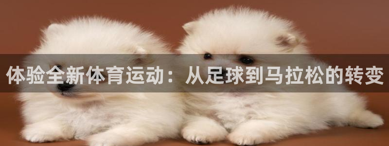 利记官网下载招商电话号码是多少：体验全新体育运动：从足球到马