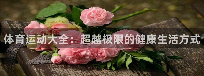 利记官方正版app开户：体育运动大全：超越极限的健康生活方式