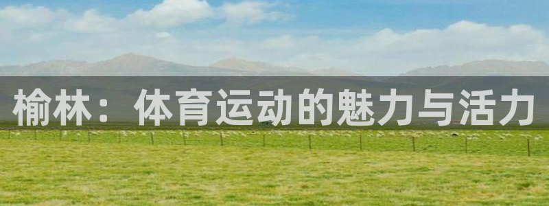 利记官网下载开户：榆林：体育运动的魅力与活力