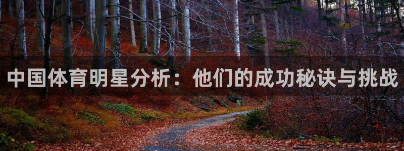 利记官网下载招商电话号码查询：中国体育明星分析：他们的成功秘