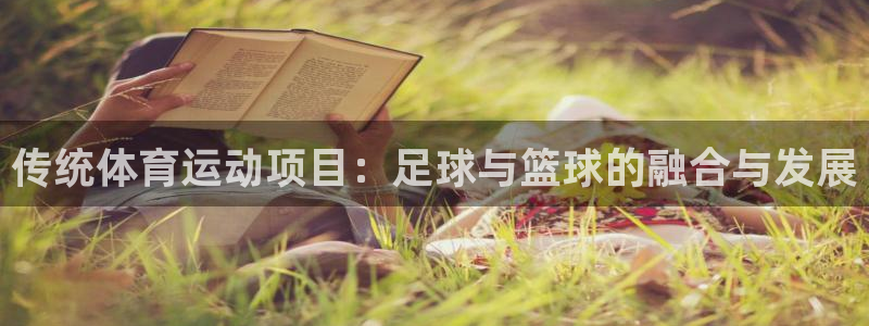 利记官方正版app娱乐40996：传统体育运动项目：