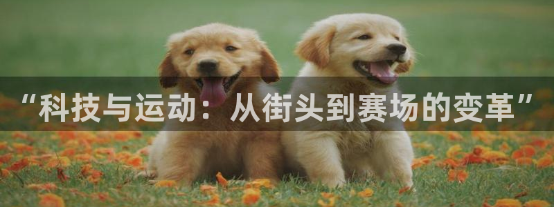 利记官网下载平台：“科技与运动：从街头到赛场的变革”