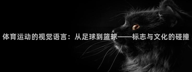 利记lk：体育运动的视觉语言：从足球到篮球——标志与文化的碰