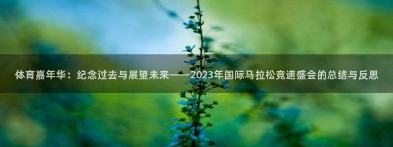 利记官方网站是多少：体育嘉年华：纪念过去与展望未来——202