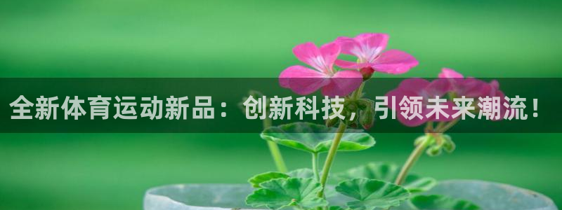  利记科技有限公司：全新体育运动新品：创新科技，引领未来潮流！