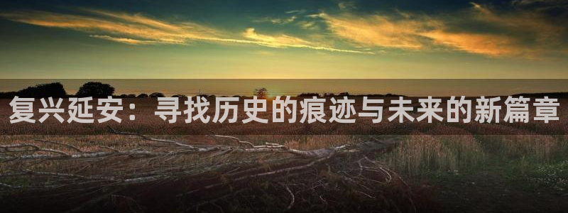 利记官网备用网址：复兴延安：寻找历史的痕迹与未来的新篇章