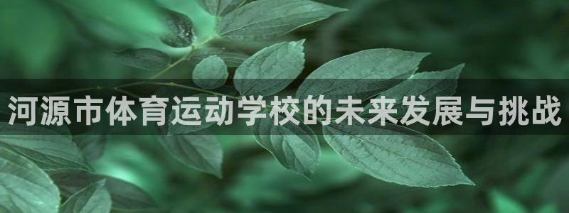 利记平台是哪的：河源市体育运动学校的未来发展与挑战
