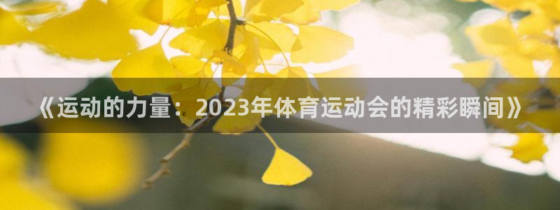  利记app怎么样：《运动的力量：2023年体育运动会的精彩瞬