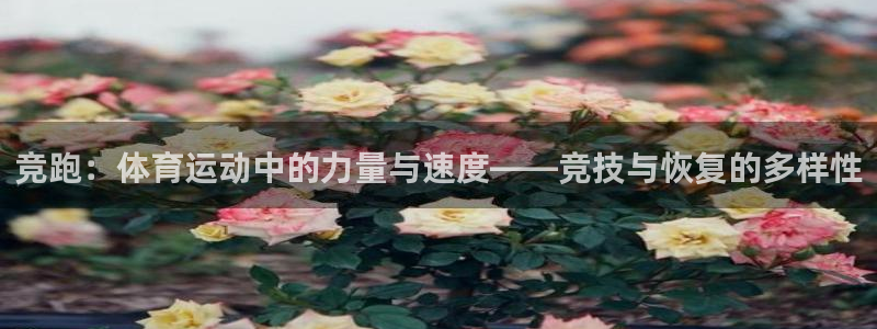 利记手机官网：竞跑：体育运动中的力量与速度——竞技与恢复的多