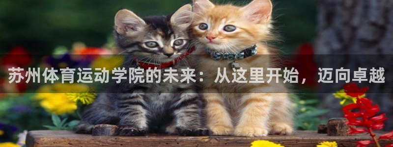  利记SBOBET官网：苏州体育运动学院的未来：从这里开始，迈