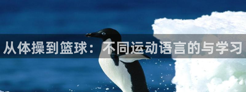 利记sbobet黑款吗：从体操到篮球：不同运动语言的与学习