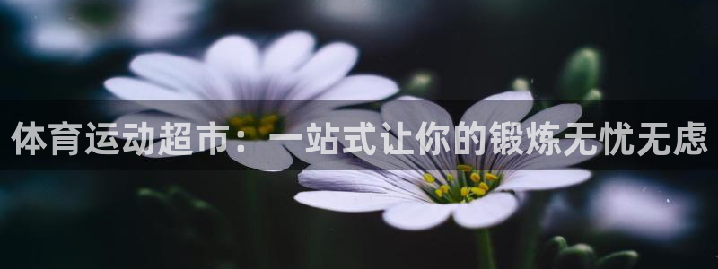 利记娱乐app是什么：体育运动超市：一站式让你的锻炼无忧无虑