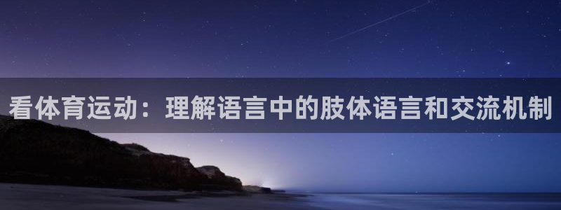利记lk：看体育运动：理解语言中的肢体语言和交流机制
